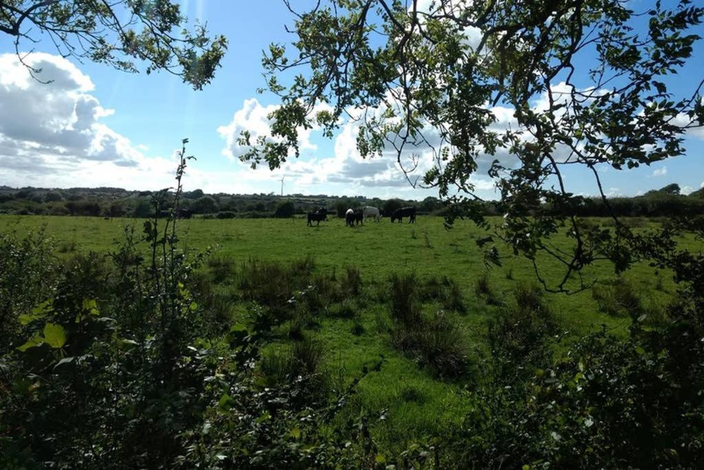 Cattle Shed Cottage Narberth Exteriör bild